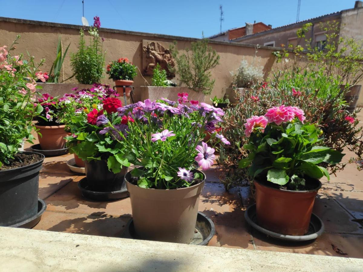 Pension Las Matillas Miranda de Ebro Exterior photo